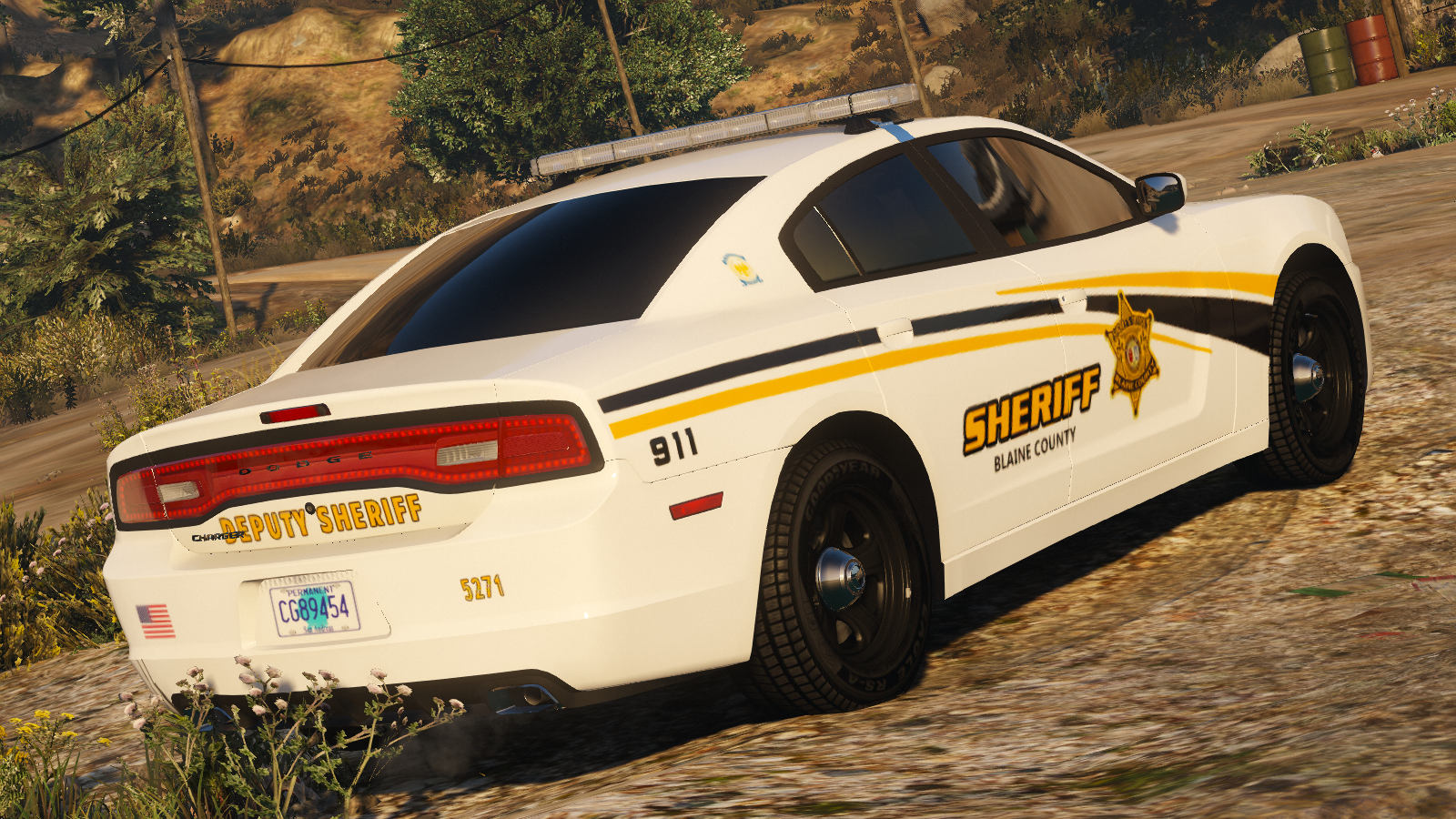 Charger PPV Blaine County Sheriff's Office